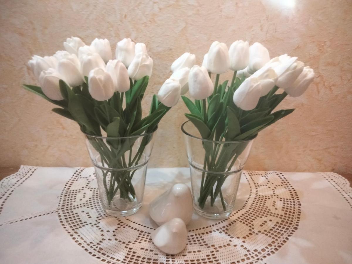 Miramonti B&B Cucina E Pizza Brentonico Dış mekan fotoğraf